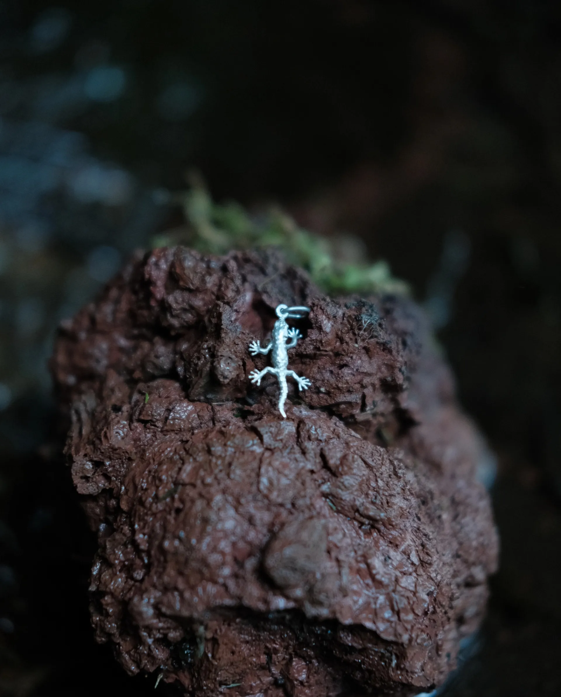 Perenquén - Imagen 3