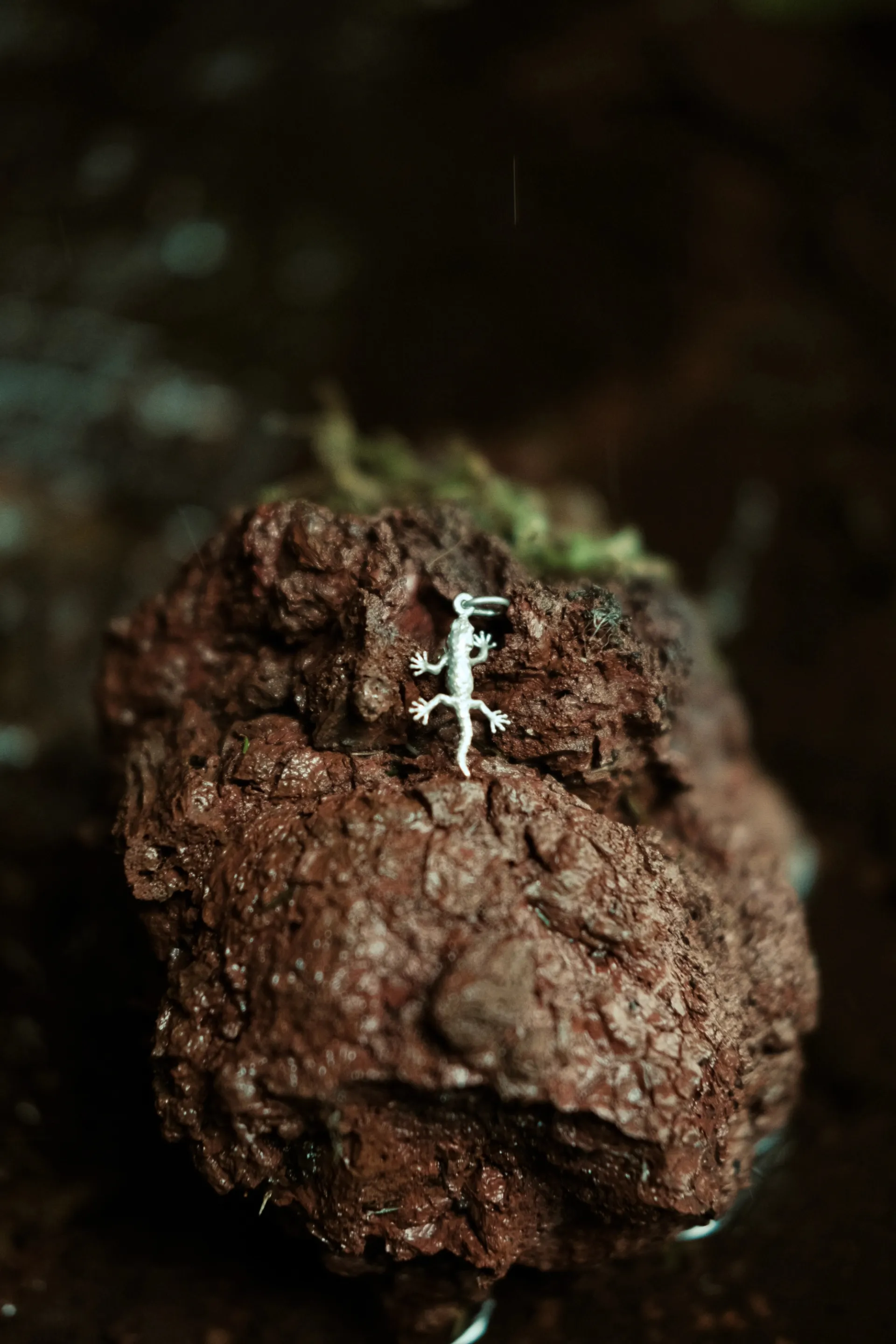 Perenquén - Imagen 3