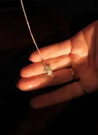 Angelote miniatura 1