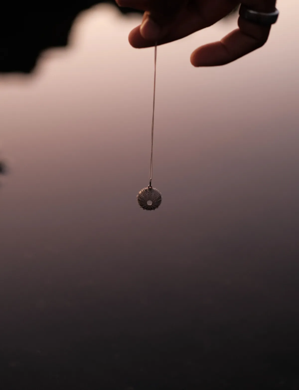 Erizo mobile - Imagen 3