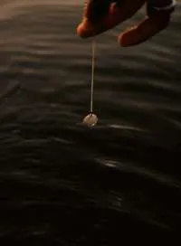 Erizo miniatura 3