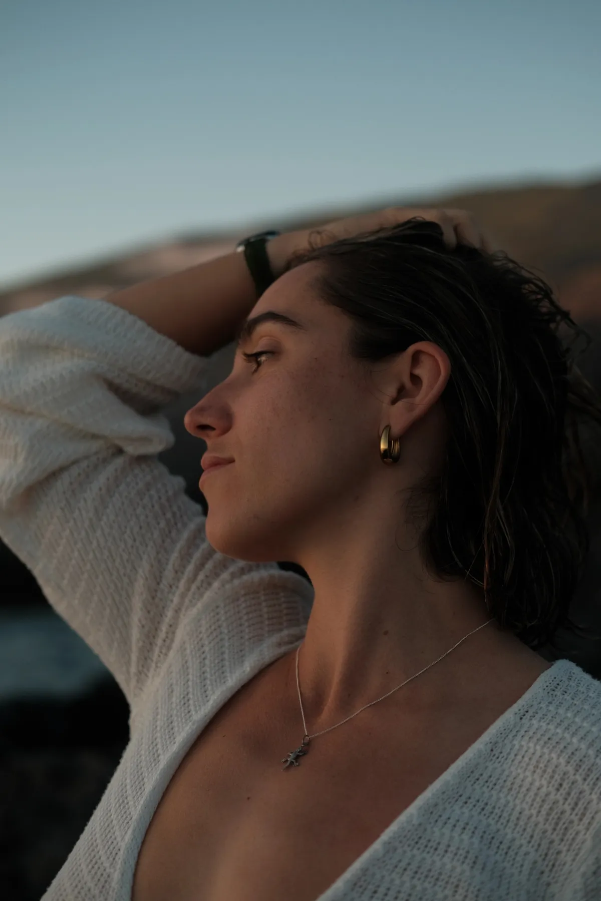 Perenquén mobile - Imagen 2