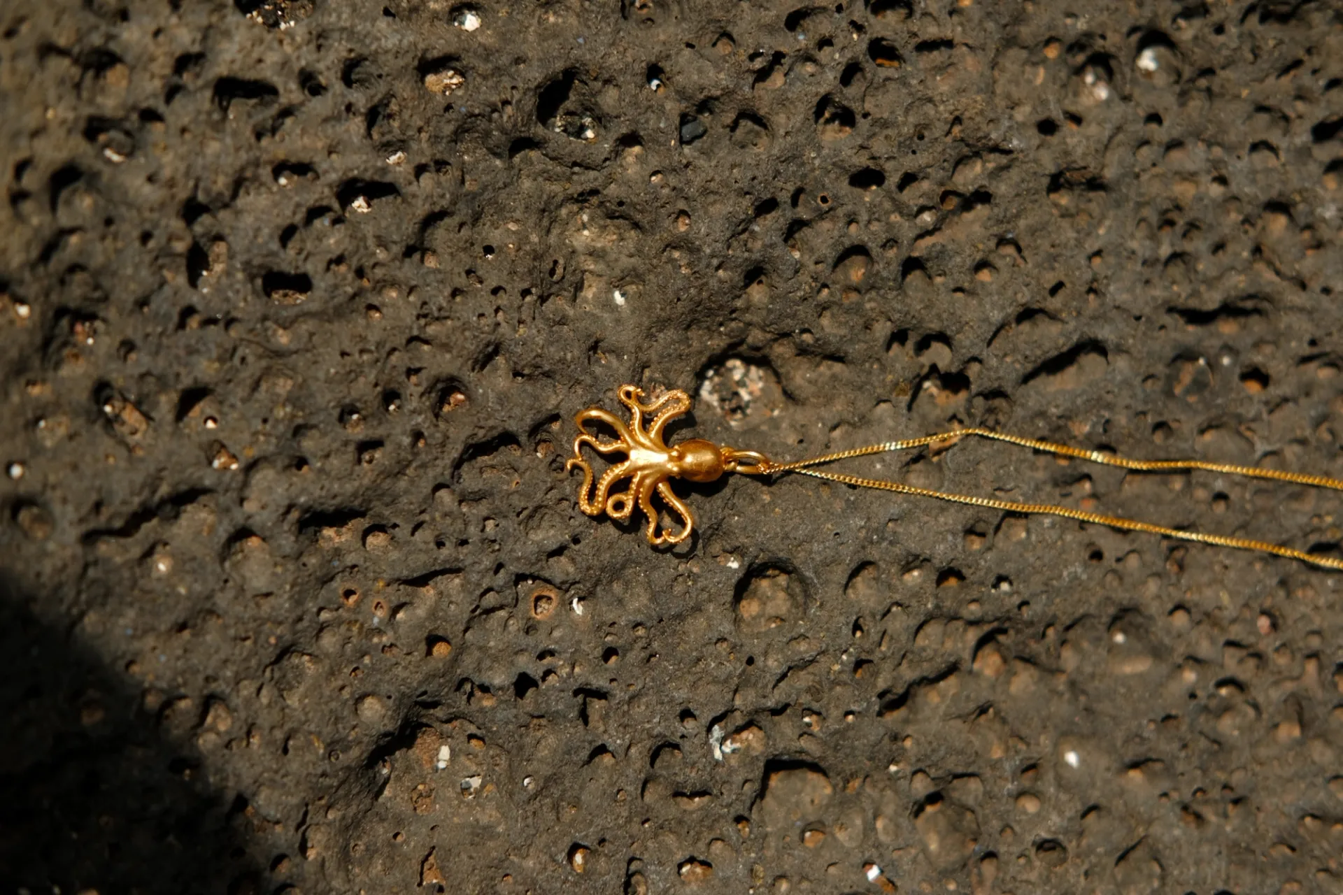 Pulpo - Imagen 3