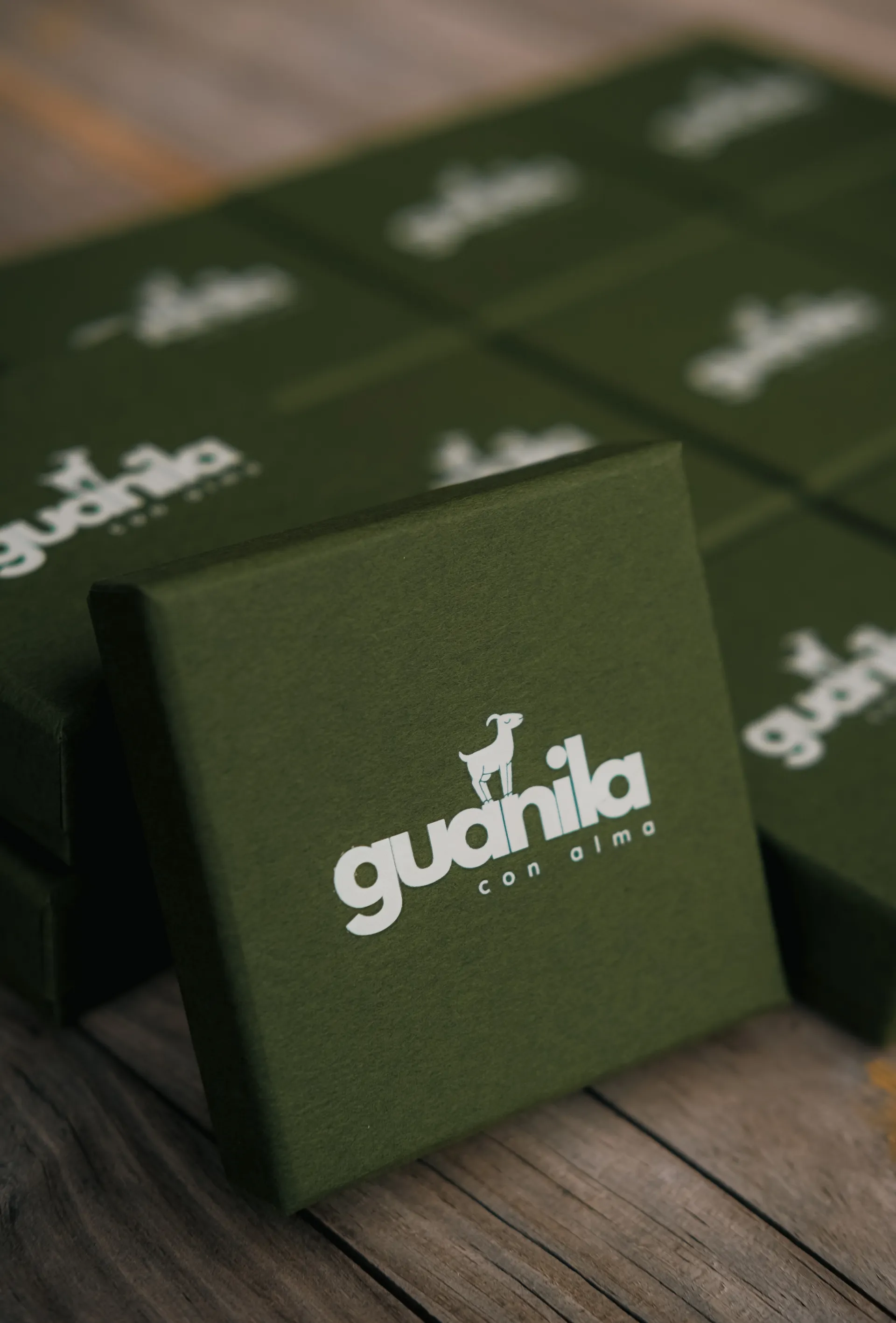 Perenquén - Imagen 5