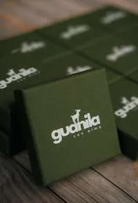 Perenquén miniatura 5