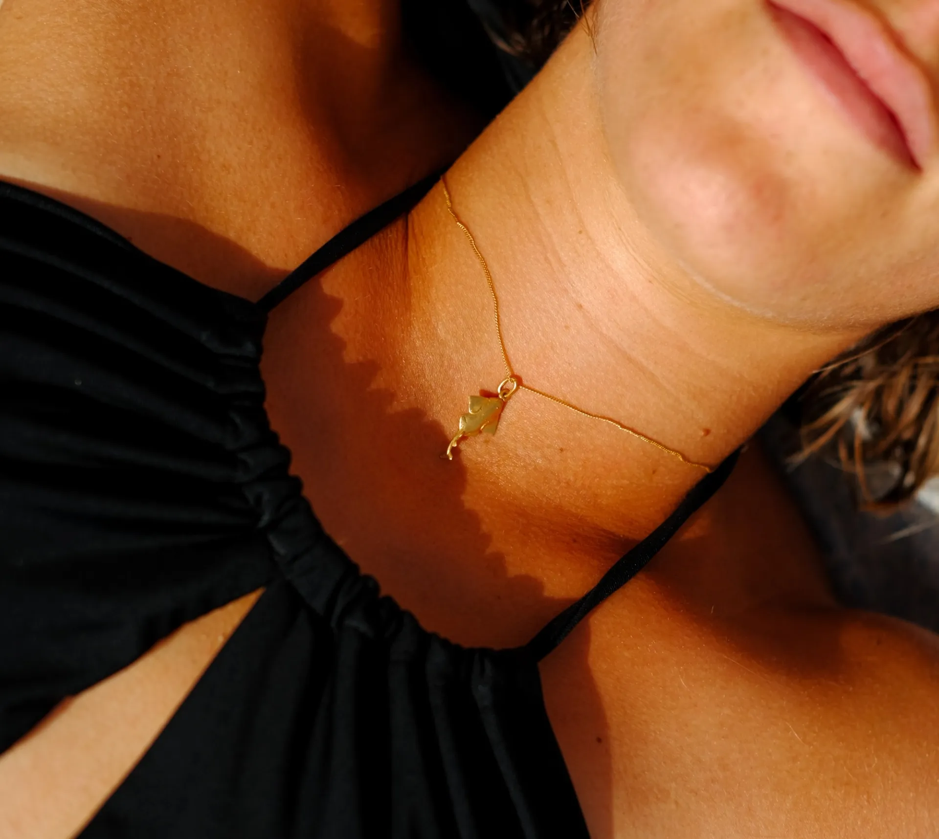 Angelote - Imagen 1
