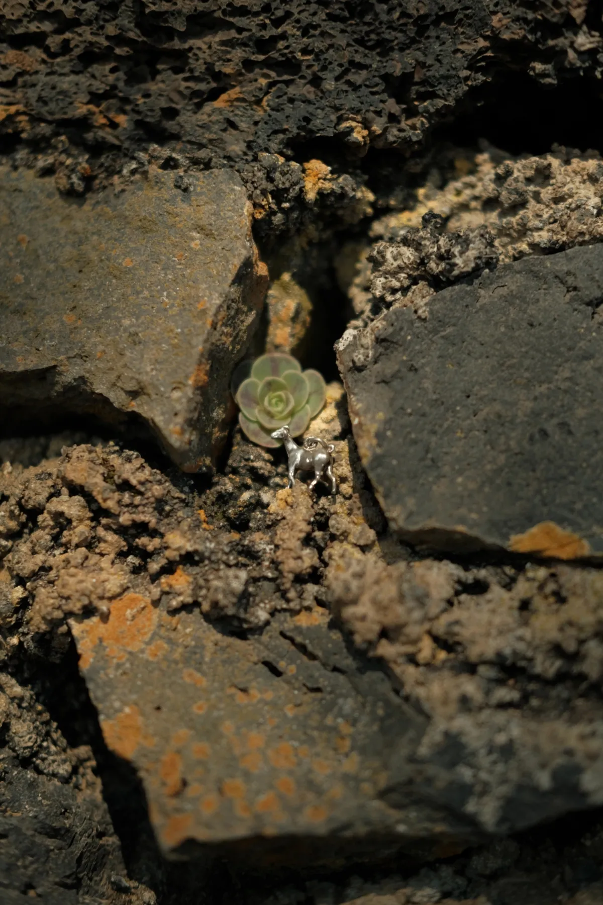 Baifo mobile - Imagen 3