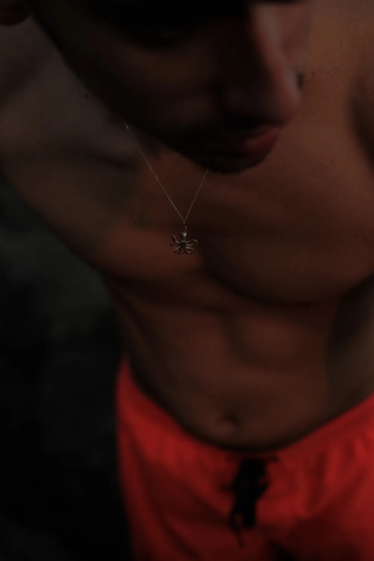 Pulpo mobile - Imagen 3