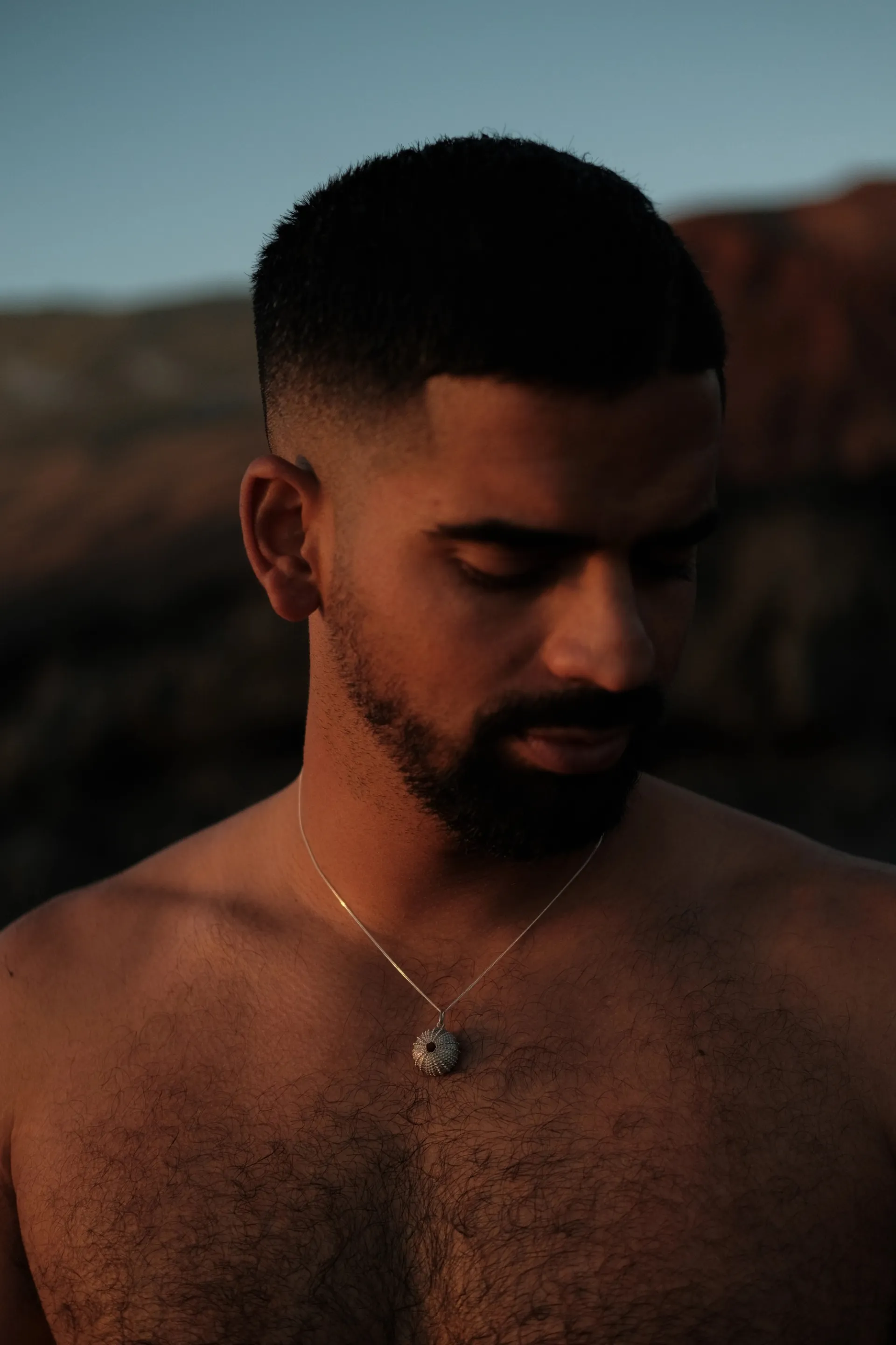 Erizo - Imagen 2