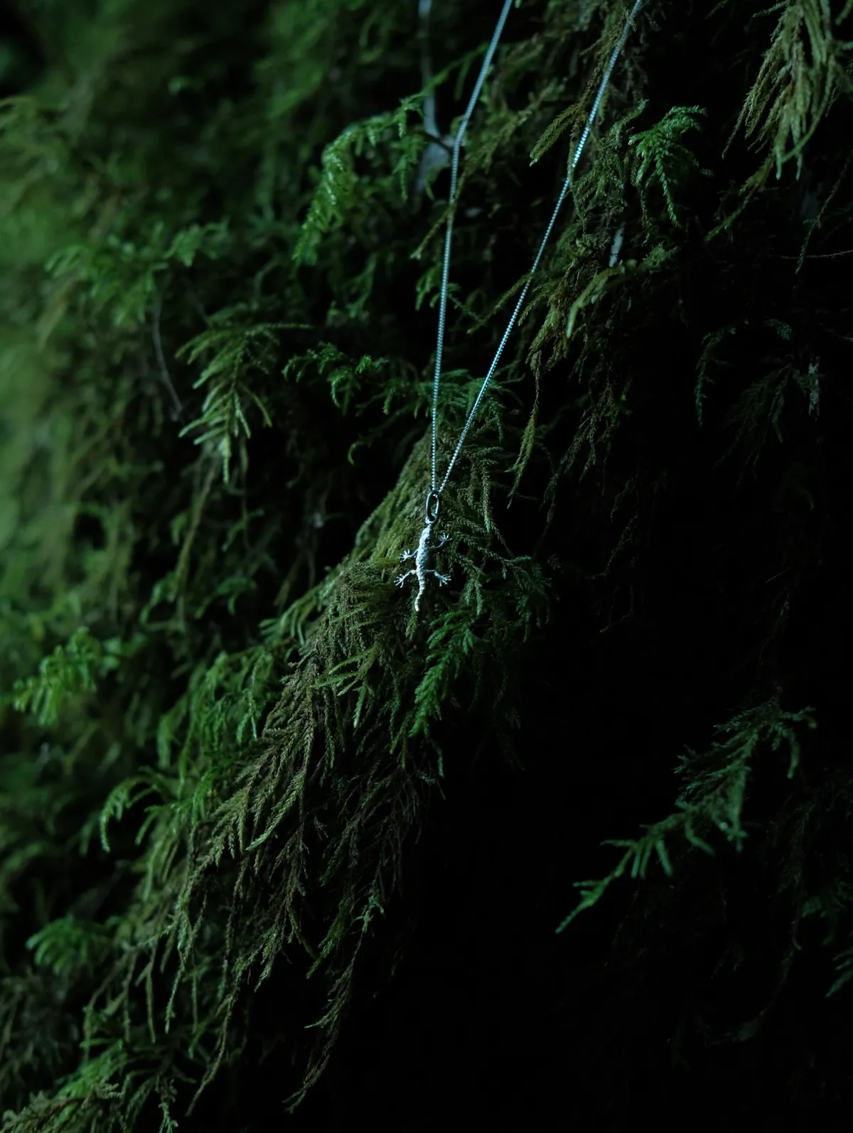 Perenquén mobile - Imagen 1